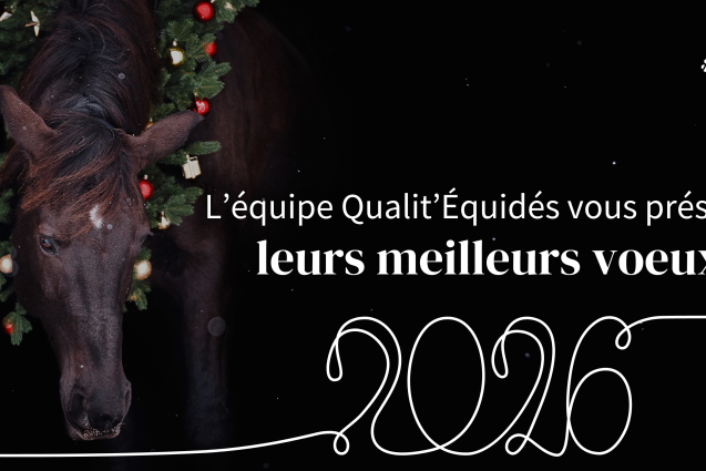 ✨ Bonne et Heureuse Année 2026 ! ✨