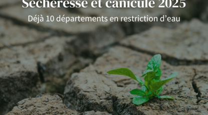 Sécheresse et canicule 2025