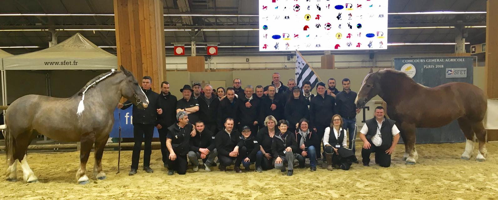 Le Cheval Breton Champion Du Trophee Des Races Au Sia 2018